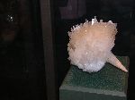 052_2009-0119-1203-14.jpg